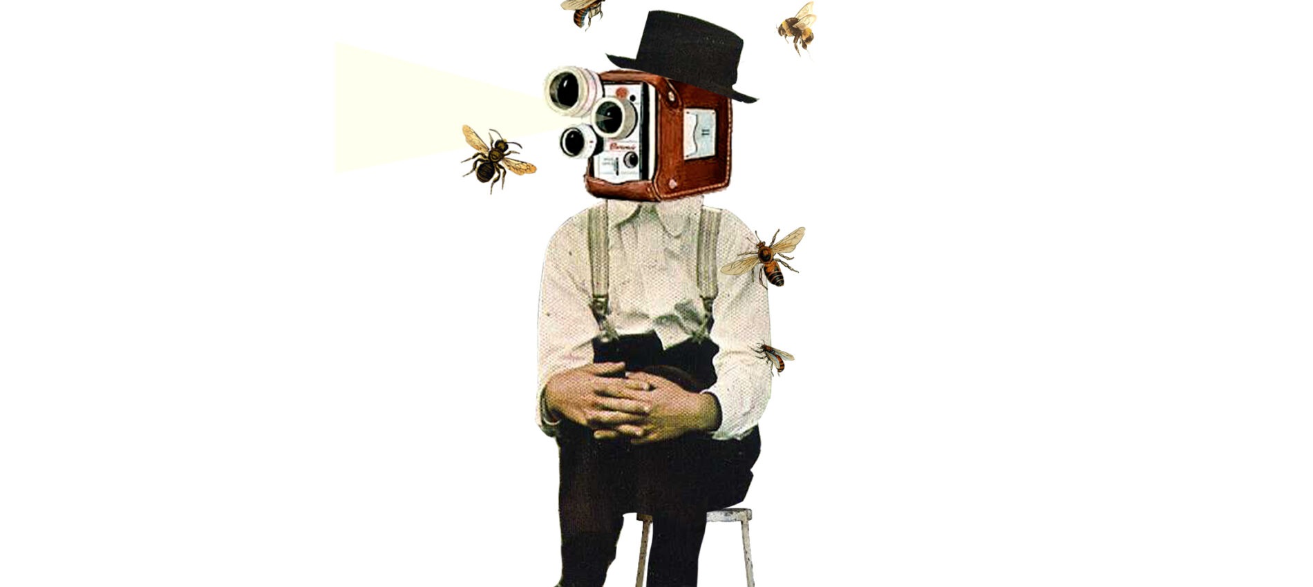 Camera Heads #1