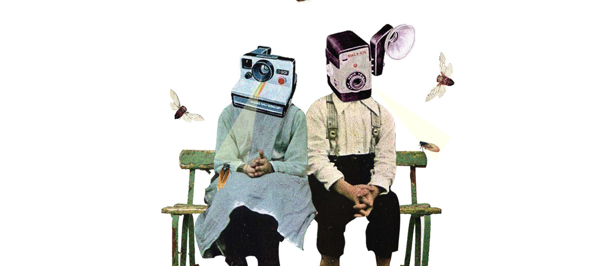 Camera Heads #3