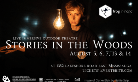 Stories in the Woods
