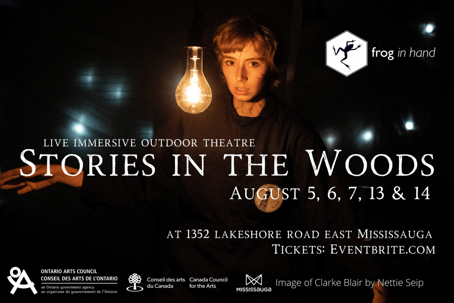 Stories in the Woods