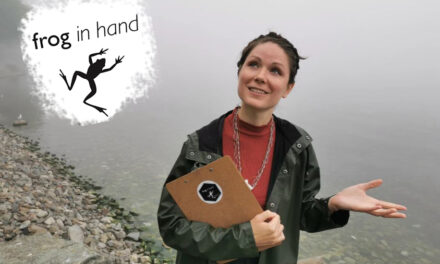 Frog in Hand – Summer Season Announcement 2021