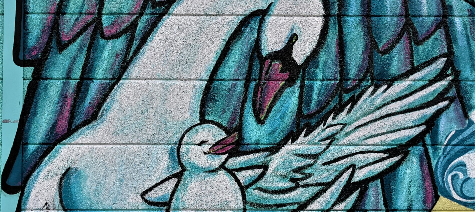 J_Feely_DeGraaf_Cygnets_Dream_2021