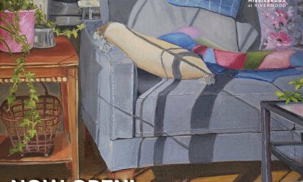 VISUAL ARTS MISSISSAUGA WINTER COURSES