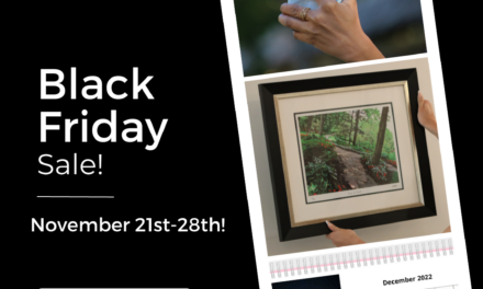 Black Friday Art Sale!