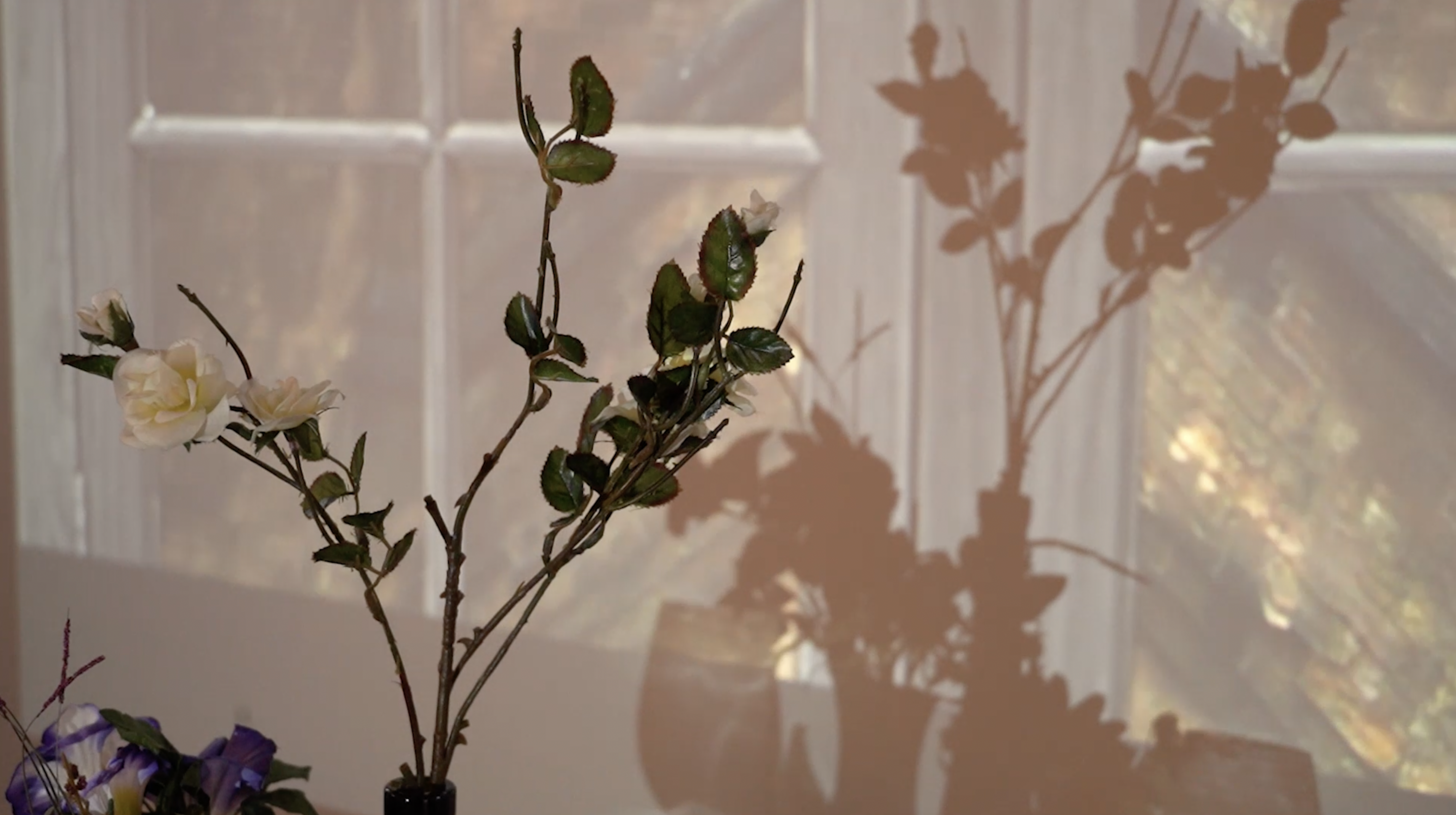 #TBT Opening of (Im)permanent, an exhibition by VAM’s Creative Residency