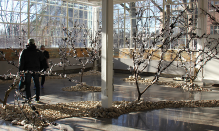 Join the magic of this year’s Mississauga Festival of Trees!