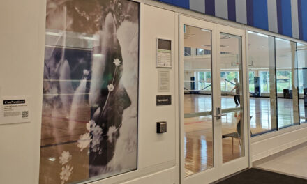 Call for Artwork: Town of Oakville, Connextions 2023 – Window Murals