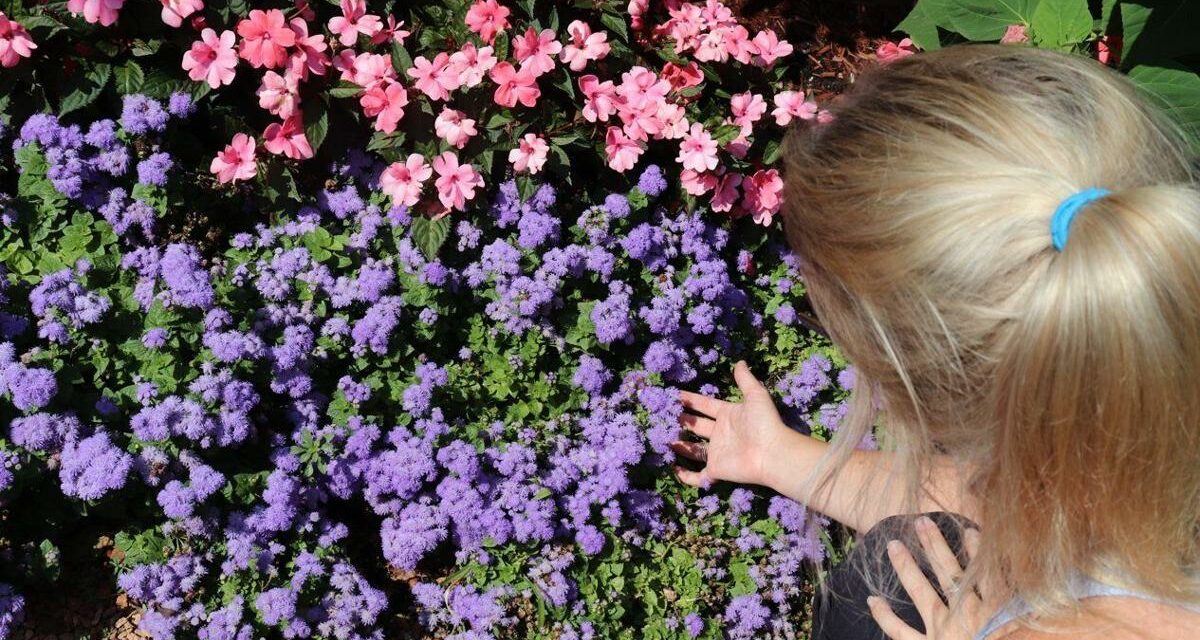 Mississauga News: Here are 5 things to do in Mississauga during spring