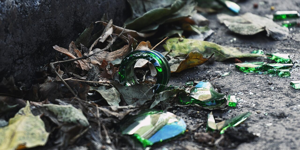 City of Mississauga – Call for Artists: Own Your Litter