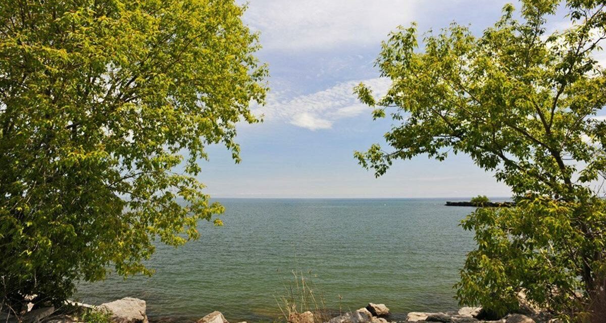Mississauga News: CALL FOR ARTISTS: Mississauga accepting proposals for artwork created with trash