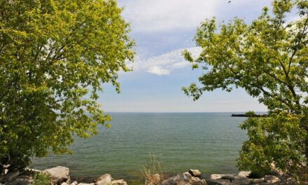 Mississauga News: CALL FOR ARTISTS: Mississauga accepting proposals for artwork created with trash