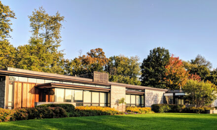 Visual Arts Mississauga is hiring – Executive Director