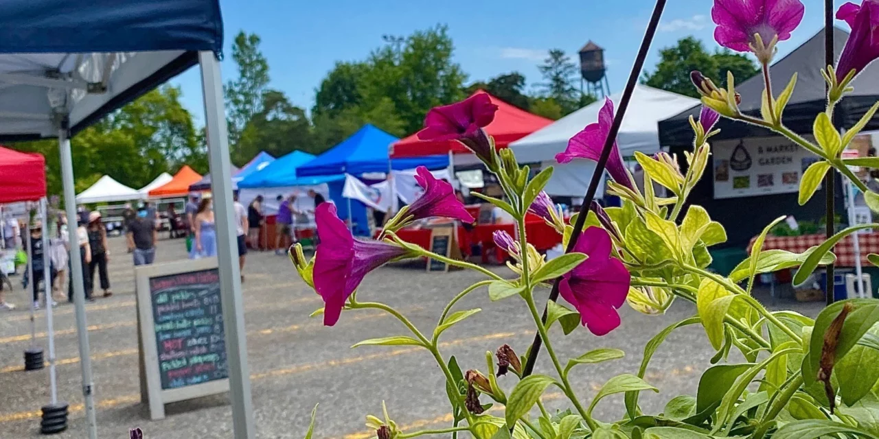Mississauga News: Mississauga’s Lakeview Farmers Market now open Sundays for the season