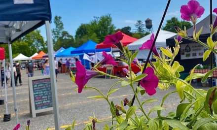 Mississauga News: Mississauga’s Lakeview Farmers Market now open Sundays for the season
