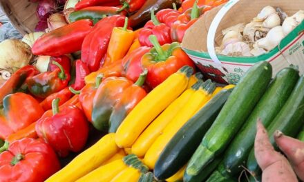insauga: Popular farmers’ and artisan market returns to Mississauga