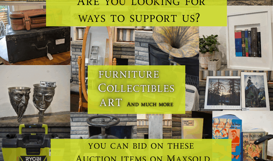 Frog in Hand Online Auction Now Live! Support our Summer Season!